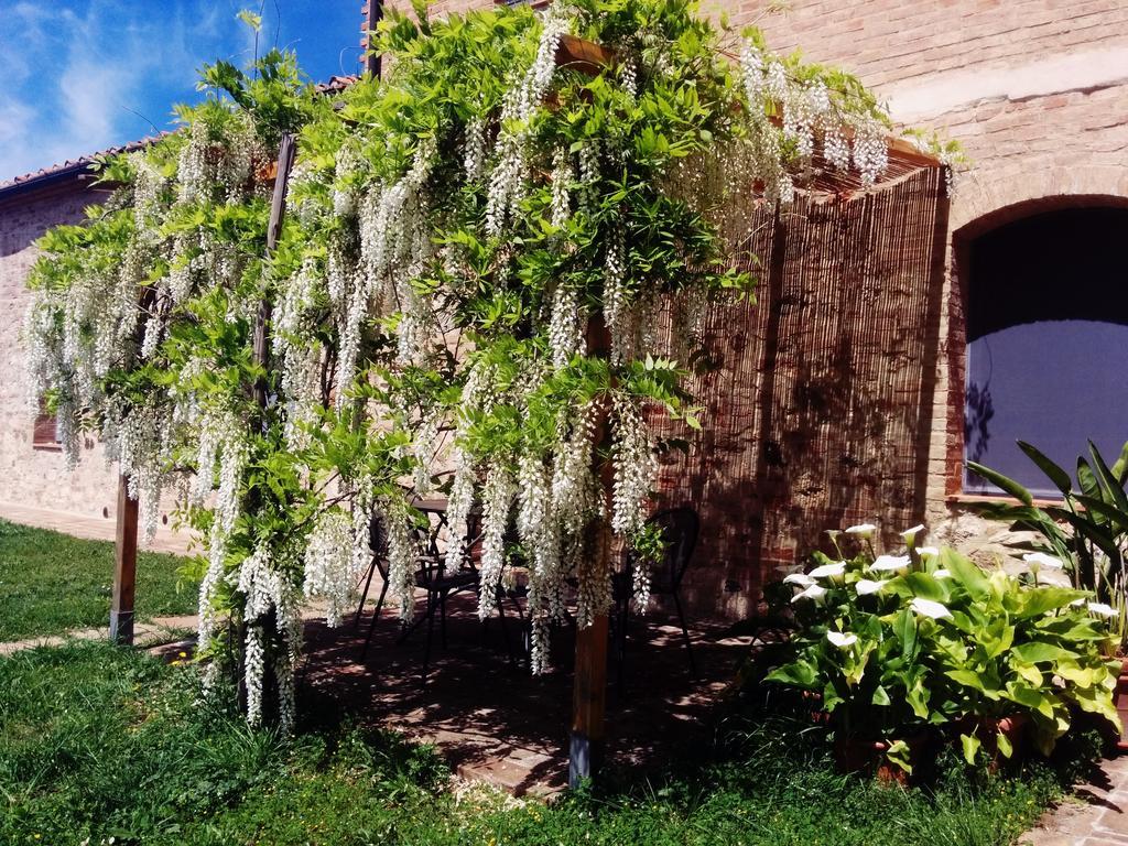 La Fornace Di San Galgano Villa Frosini Exterior photo